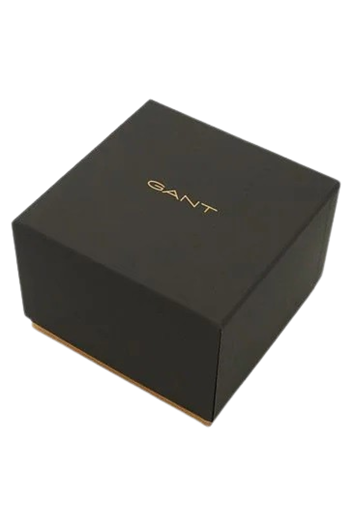 Gant Wilmer Roloi Xronogafos Batarias me Asimi Metalliko Brasele GT079009